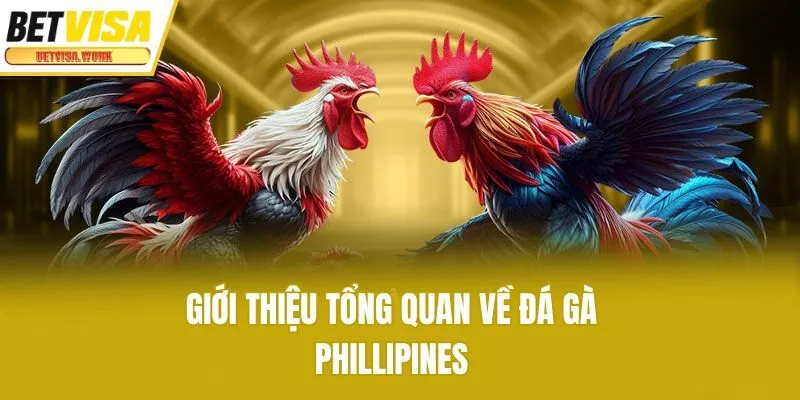 Giới thiệu tổng quan về đá gà Phillipines