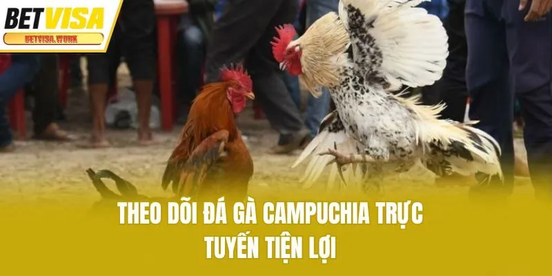 Theo dõi đá gà Campuchia trực tuyến tiện lợi